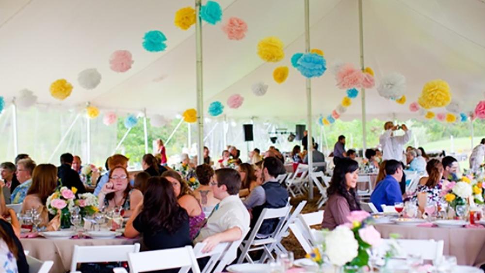 Tissue Pom Poms and flower Pom Poms