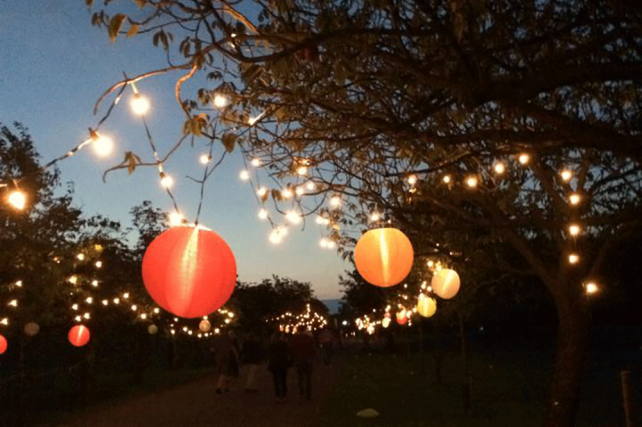 ZSL Whipsnade Zoo Lanterns