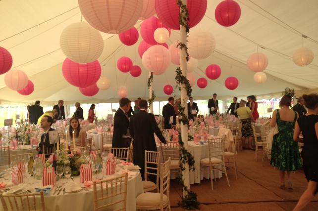 Pink Party Hanging Lanterns